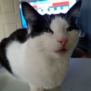 Meet your Posher, Anne